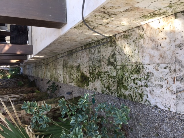 Paver before cleaning