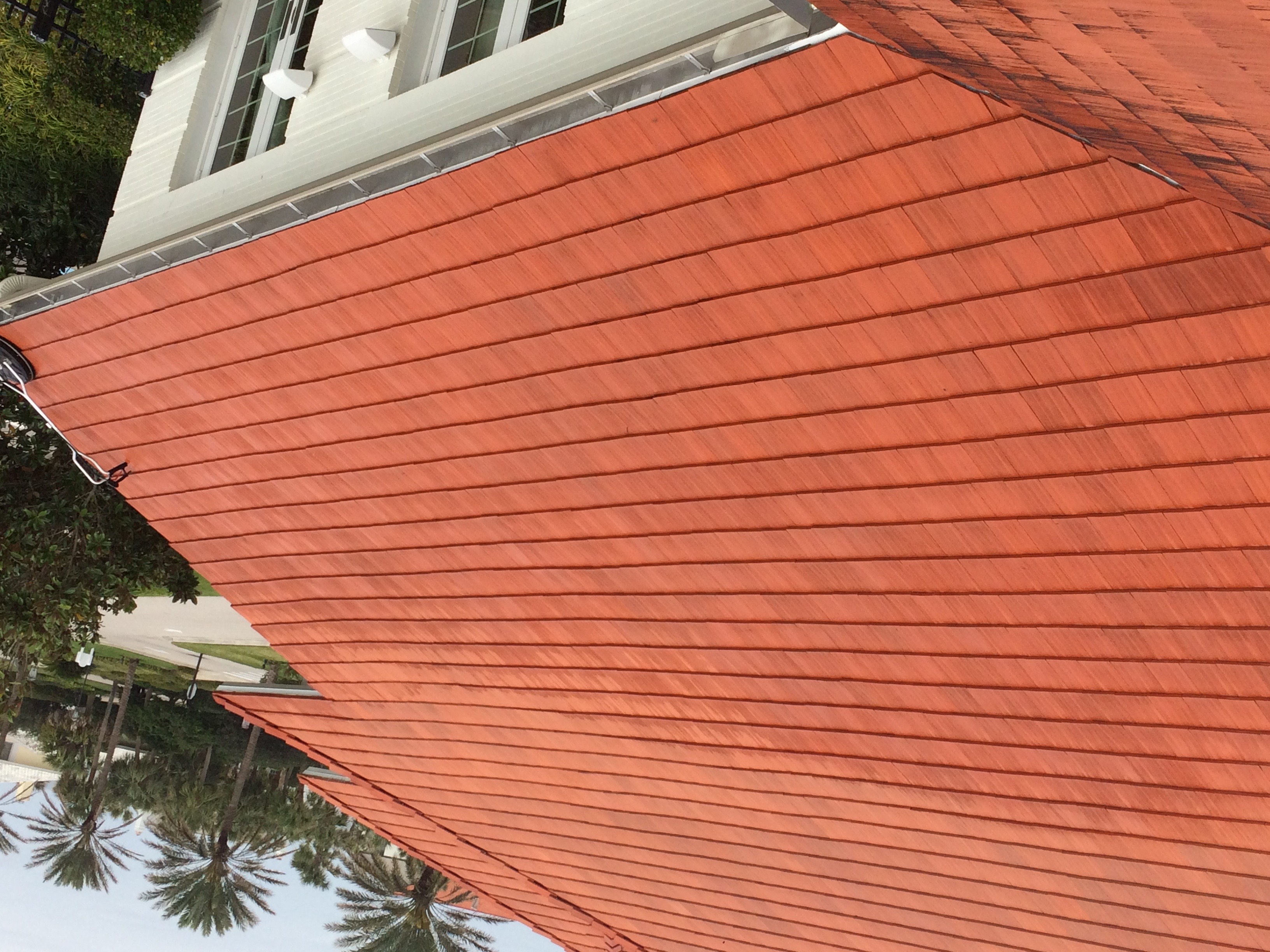 Roof tile after cleaning
