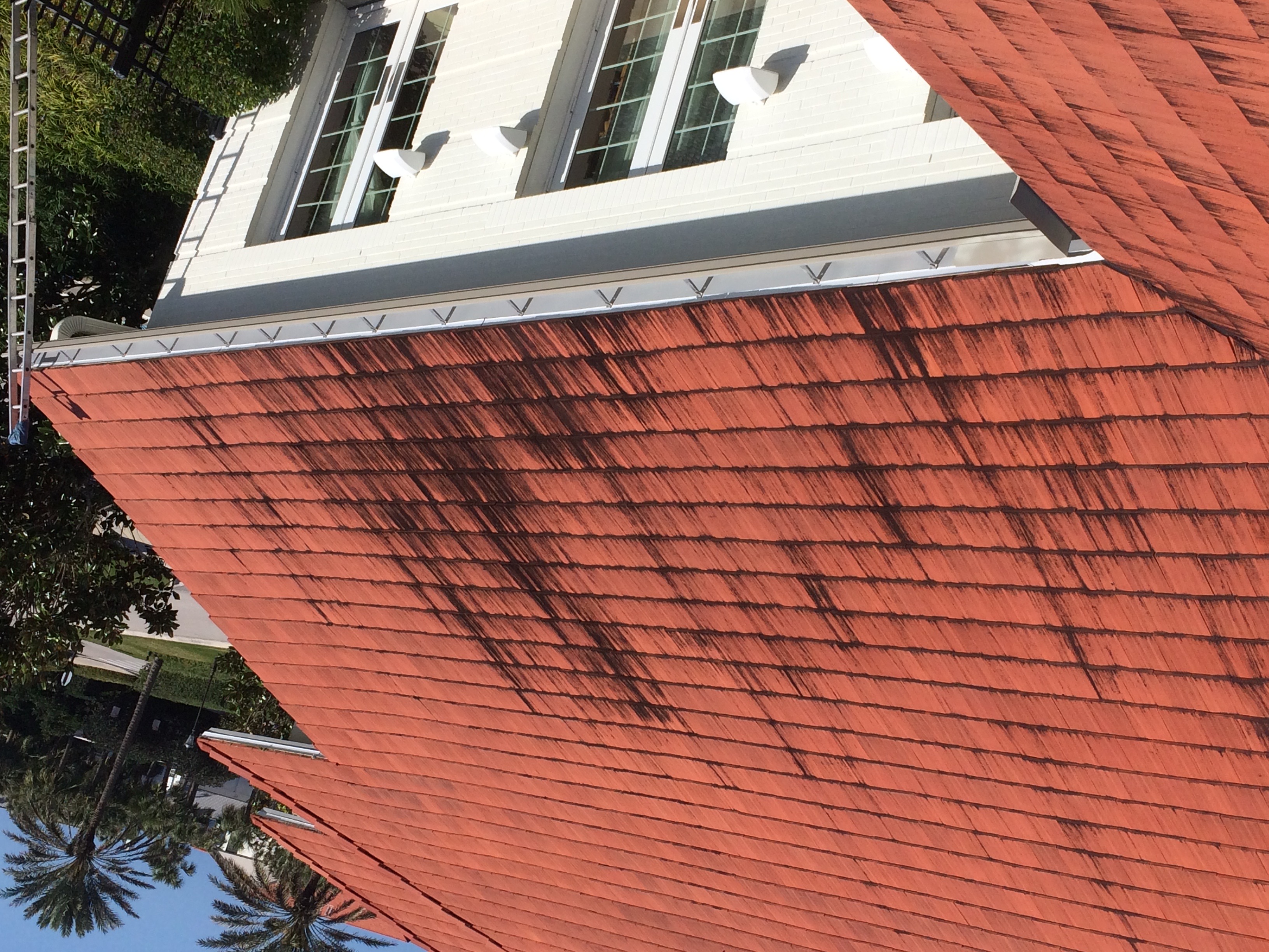 Roof tile before cleaning
